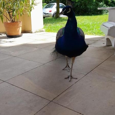 Schloss Tressow Bobitz Εξωτερικό φωτογραφία